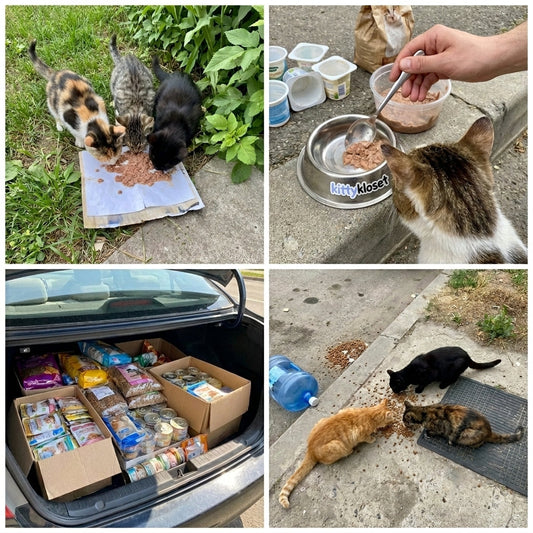June 2026: Feeding Through the Heat
