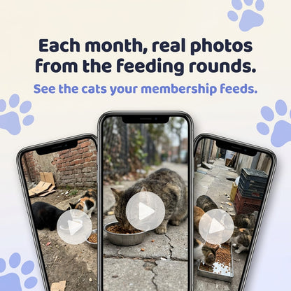 The Monthly Feeding Club